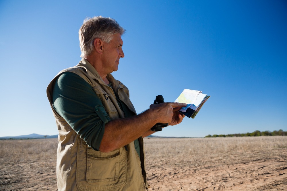 Что такое межевание земельного участка